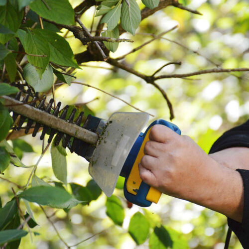 Welke materialen heb je nodig om je tuin te onderhouden?