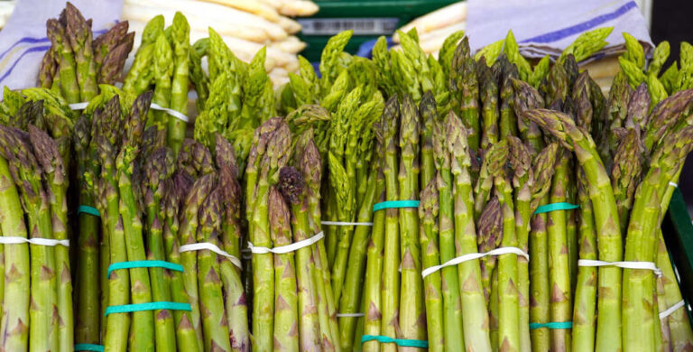 Waarom tweedehands landbouwmachines voor aspergeteelt?