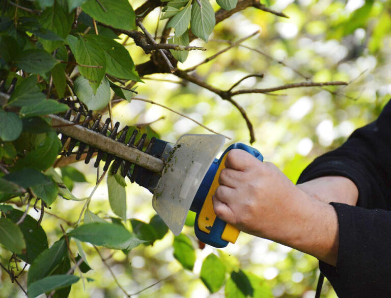 Welke materialen heb je nodig om je tuin te onderhouden?