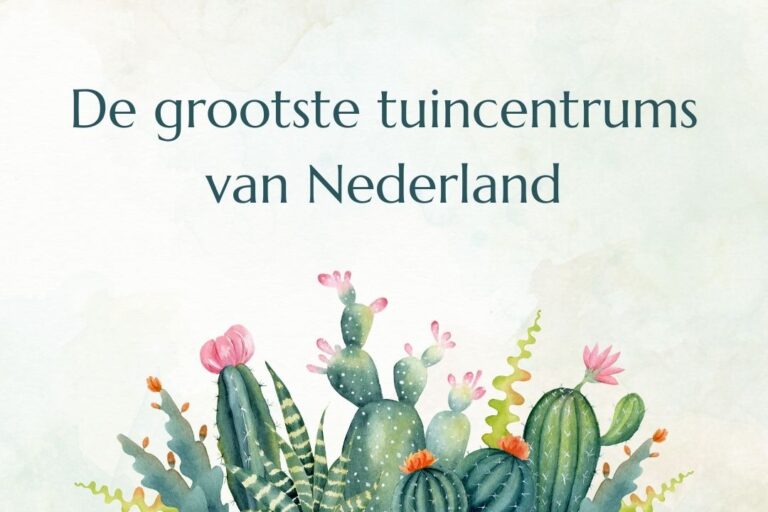 Top 10 grootste tuincentra van Nederland 2025