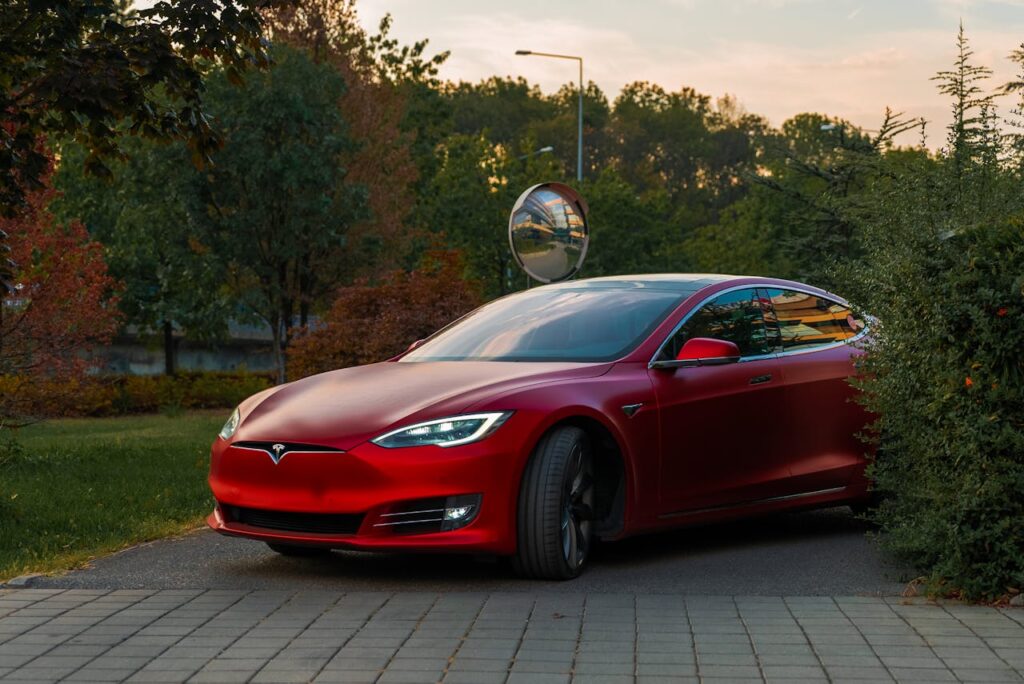 tesla in de tuin