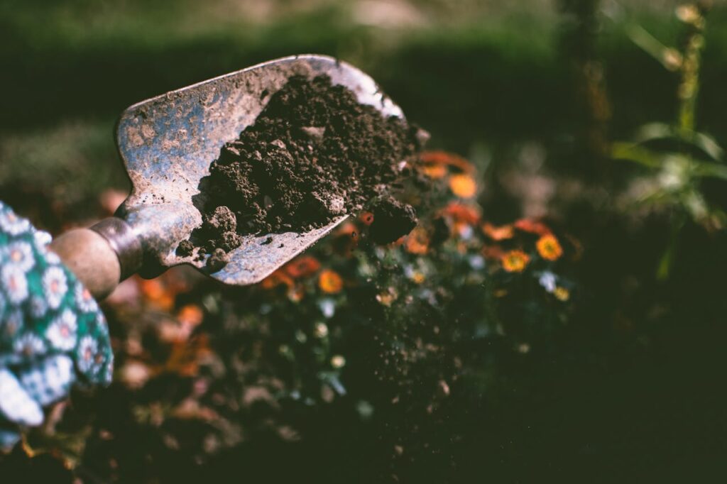 tuinrenovatie