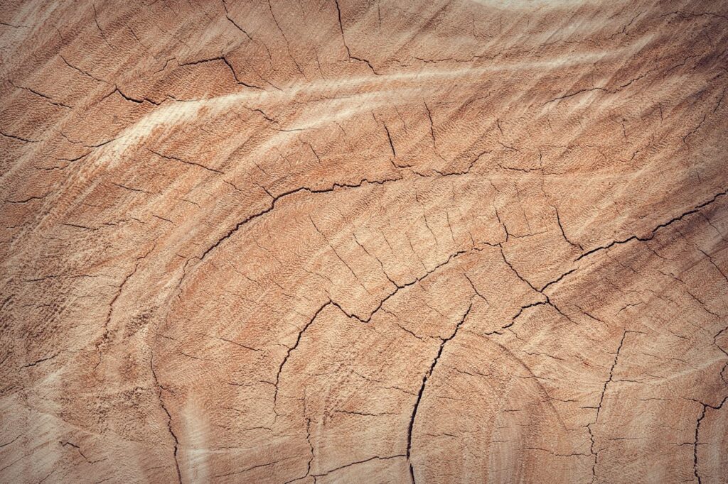 Hout
