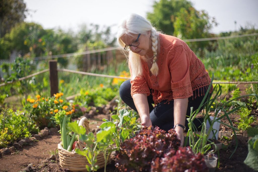 prive moestuin