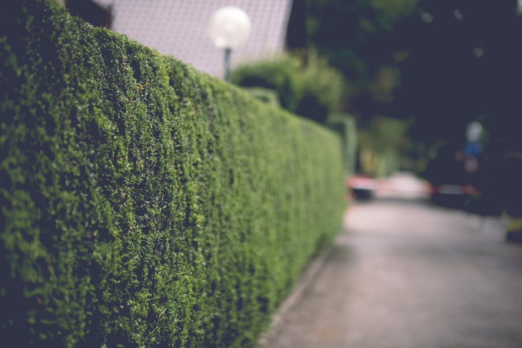 groene overgang