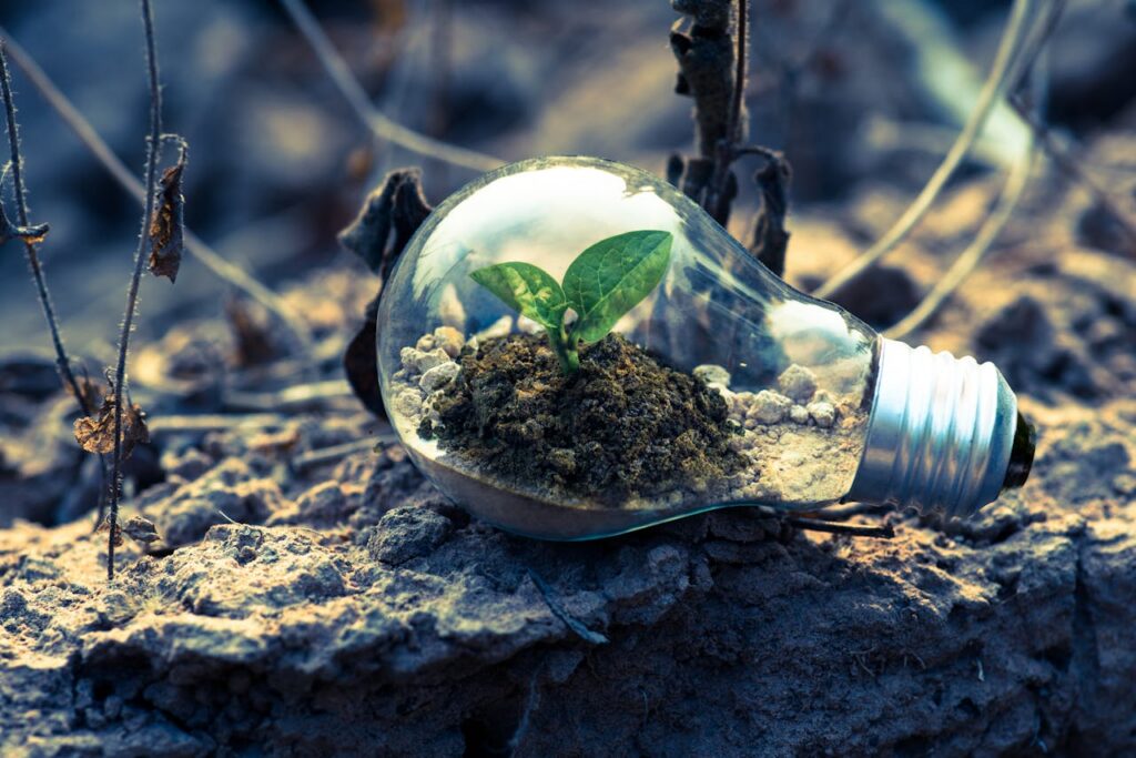 Groene energie